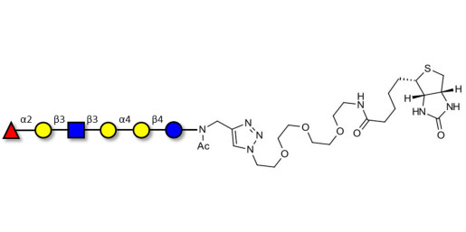 Globo-H analogue type 1 linked to biotin (Linker-BT A)