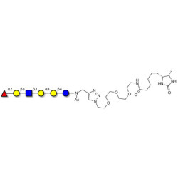 Globo-H analogue type 1 linked to desthiobiotin (Linker-DBT-A)