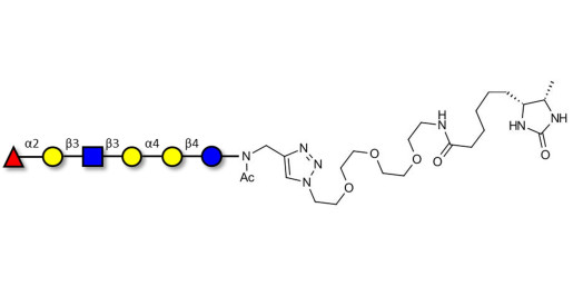 Globo-H analogue type 1 linked to desthiobiotin (Linker-DBT-A)
