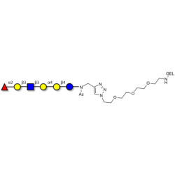 Globo-H analogue type 1 grafted on gel for affinity chromatography (Linker-GEL A)