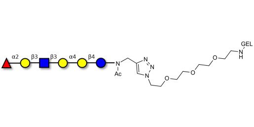 Globo-H analogue type 1 grafted on gel for affinity chromatography (Linker-GEL A)