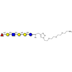 Globo-H analogue type 1 with free terminal amine (Linker-NH2 B)