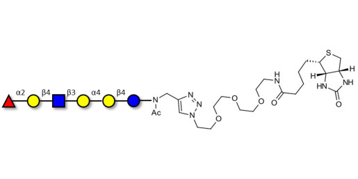 Globo-H analogue type 2 linked to biotin (Linker-BT A)