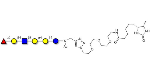 Globo-H analogue type 2 linked to desthiobiotin (Linker-DBT-A)