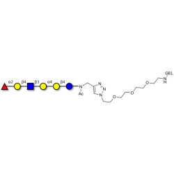 Globo-H analogue type 2 grafted on gel for affinity chromatography (Linker-GEL A)