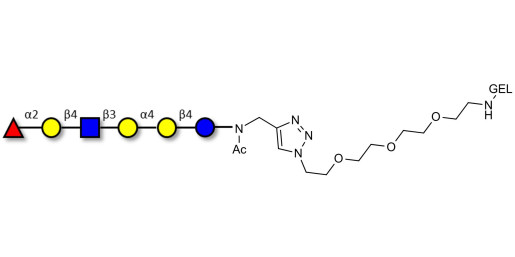 Globo-H analogue type 2 grafted on gel for affinity chromatography (Linker-GEL A)