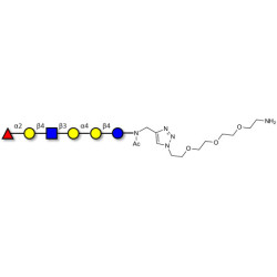 Globo-H analogue type 2 with free terminal amine (Linker-NH2 B)