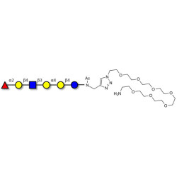 Globo-H analogue type 2 with free terminal amine (Linker-NH2 C)