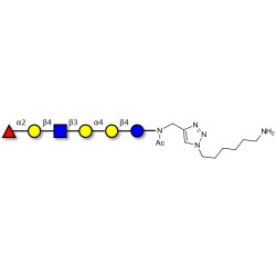 Globo-H analogue type 2 with free terminal amine (Linker-NH2 D)