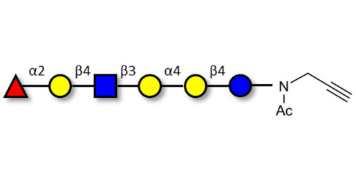 Globo-H analogue type 2 with terminal alkyne (Linker-CΞCH A)