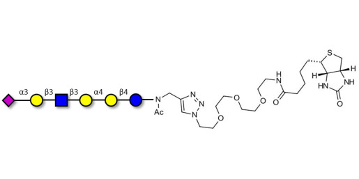 Stage-Specific Embryonic Antigen-4 (SSEA-4) hexaose analogue type 1 linked to biotin (Linker-BT A) - SSEA-4 hexaose analogue type 1