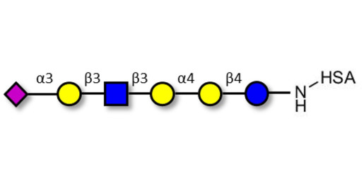 Stage-Specific Embryonic Antigen-4 (SSEA-4) hexaose analogue type 1 grafted on HSA - SSEA-4 hexaose analogue type 1