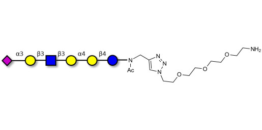 Stage-Specific Embryonic Antigen-4 (SSEA-4) hexaose analogue type 1 with free terminal amine (Linker-NH2 B) - SSEA-4 hexaose analogue type 1