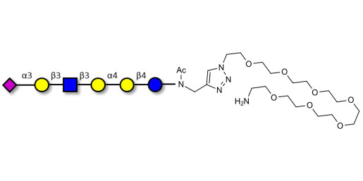 Stage-Specific Embryonic Antigen-4 (SSEA-4) hexaose analogue type 1 with free terminal amine (Linker-NH2 C) - SSEA-4 hexaose analogue type 1