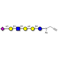 Stage-Specific Embryonic Antigen-4 (SSEA-4) hexaose analogue type 1 with terminal alkyne (Linker-CΞCH A)