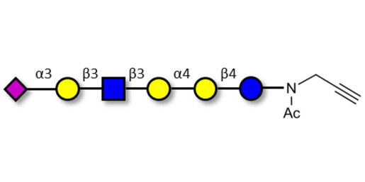 Stage-Specific Embryonic Antigen-4 (SSEA-4) hexaose analogue type 1 with terminal alkyne (Linker-CΞCH A) - SSEA-4 hexaose analogue type 1
