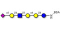 Stage-Specific Embryonic Antigen-4 (SSEA-4) hexaose analogue type 2 grafted on BSA - SSEA-4 hexaose analogue type 2