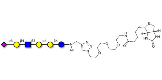 Stage-Specific Embryonic Antigen-4 (SSEA-4) hexaose analogue type 2 linked to biotin (Linker-BT A) - SSEA-4 hexaose analogue type 2
