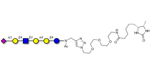 Stage-Specific Embryonic Antigen-4 (SSEA-4) hexaose analogue type 2 linked to desthiobiotin (Linker-DBT-A) - SSEA-4 hexaose analogue type 2