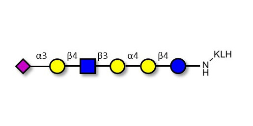 Stage-Specific Embryonic Antigen-4 (SSEA-4) hexaose analogue type 2 grafted on KLH - SSEA-4 hexaose analogue type 2