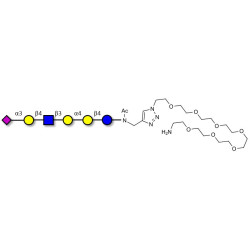 Stage-Specific Embryonic Antigen-4 (SSEA-4) hexaose analogue type 2 with free terminal amine (Linker-NH2 C)