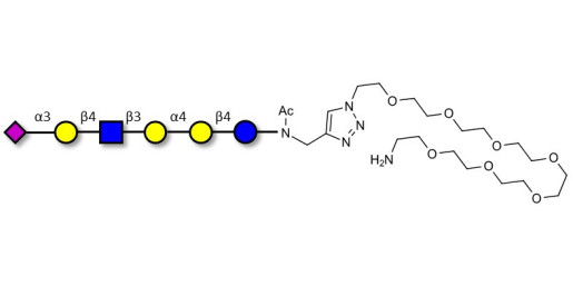 Stage-Specific Embryonic Antigen-4 (SSEA-4) hexaose analogue type 2 with free terminal amine (Linker-NH2 C) - SSEA-4 hexaose analogue type 2