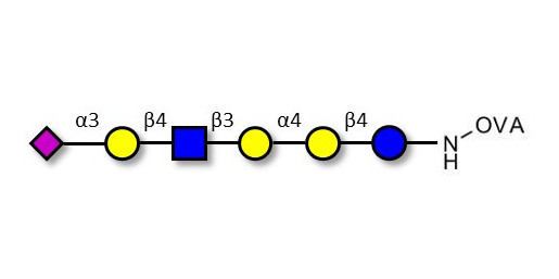 Stage-Specific Embryonic Antigen-4 (SSEA-4) hexaose analogue type 2 grafted on OVA - SSEA-4 hexaose analogue type 2