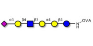 Stage-Specific Embryonic...