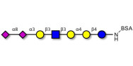 Sialylated Stage-Specific...
