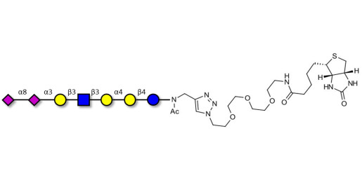 Sialylated Stage-Specific Embryonic Antigen-4 (SSEA-4) hexaose analogue type 1 linked to biotin (Linker-BT A) - Sialylated-SSEA-4 hexaose analogue type 1