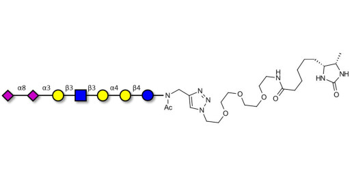 Sialylated Stage-Specific Embryonic Antigen-4 (SSEA-4) hexaose analogue type 1 linked to desthiobiotin (Linker-DBT-A) - Sialylated-SSEA-4 hexaose analogue type 1