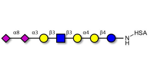 Sialylated Stage-Specific Embryonic Antigen-4 (SSEA-4) hexaose analogue type 1 grafted on HSA - Sialylated-SSEA-4 hexaose analogue type 1
