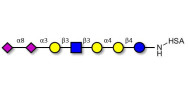 Sialylated Stage-Specific...