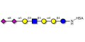 Sialylated Stage-Specific Embryonic Antigen-4 (SSEA-4) hexaose analogue type 1 grafted on HSA - Sialylated-SSEA-4 hexaose analogue type 1