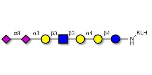 Sialylated Stage-Specific Embryonic Antigen-4 (SSEA-4) hexaose analogue type 1 grafted on KLH - Sialylated-SSEA-4 hexaose analogue type 1