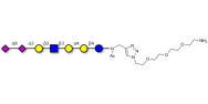 Sialylated Stage-Specific...