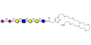 Sialylated Stage-Specific...