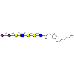 Sialylated Stage-Specific Embryonic Antigen-4 (SSEA-4) hexaose analogue type 1 with free terminal amine (Linker-NH2 D)