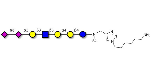 Sialylated Stage-Specific Embryonic Antigen-4 (SSEA-4) hexaose analogue type 1 with free terminal amine (Linker-NH2 D) - Sialylated-SSEA-4 hexaose analogue type 1