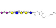 Sialylated Stage-Specific...
