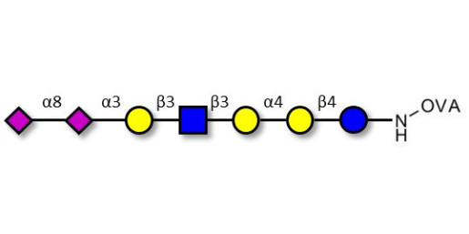 Sialylated Stage-Specific Embryonic Antigen-4 (SSEA-4) hexaose analogue type 1 grafted on OVA - Sialylated-SSEA-4 hexaose analogue type 1