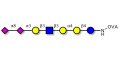 Sialylated Stage-Specific Embryonic Antigen-4 (SSEA-4) hexaose analogue type 1 grafted on OVA - Sialylated-SSEA-4 hexaose analogue type 1
