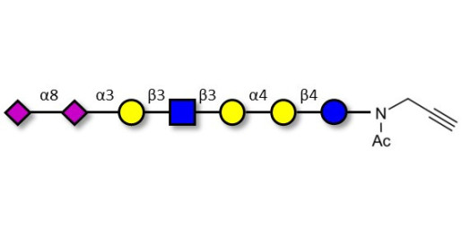 Sialylated Stage-Specific Embryonic Antigen-4 (SSEA-4) hexaose analogue type 1 with terminal alkyne (Linker-CΞCH A) - Sialylated-SSEA-4 hexaose analogue type 1