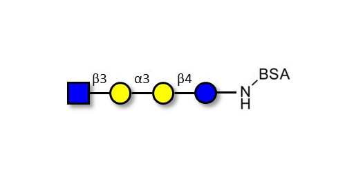 Isoglobotetraose (iGb4) analogue grafted on BSA - iGb4 analogue
