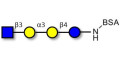 Isoglobotetraose (iGb4) analogue grafted on BSA - iGb4 analogue
