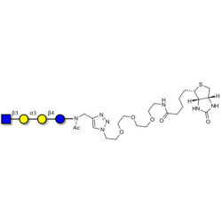 Isoglobotetraose (iGb4) analogue linked to biotin (Linker-BT A)