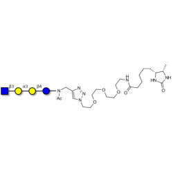 Isoglobotetraose (iGb4) analogue linked to desthiobiotin (Linker-DBT-A)