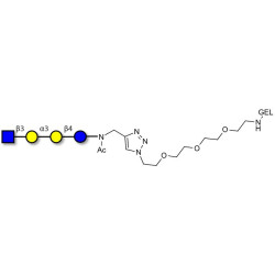 Isoglobotetraose (iGb4) analogue grafted on gel for affinity chromatography (Linker-GEL A)