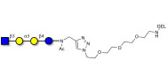 Isoglobotetraose (iGb4)...