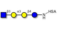 Isoglobotetraose (iGb4)...